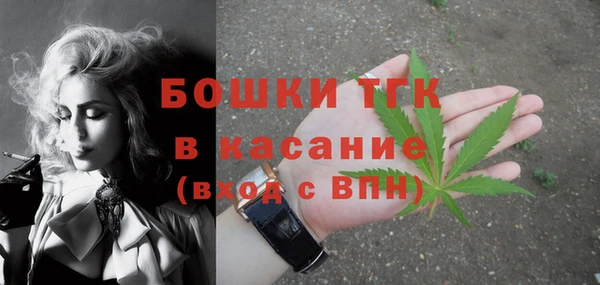 хмурый Михайловск